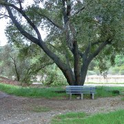 arroyo-bench-20160307-01
