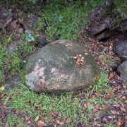 arroyo-rock-013161-02