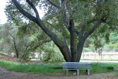 arroyo-bench-20160307-01