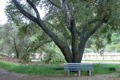 arroyo-bench-20160307-01