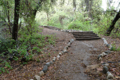 arroyo-stairwell-20160306-01