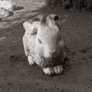 bunny-20251119-01-10x10