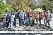 scenic-walk-20251119-01-6x4