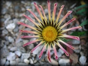 Parkview_02