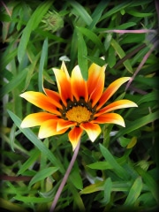 Parkview_03