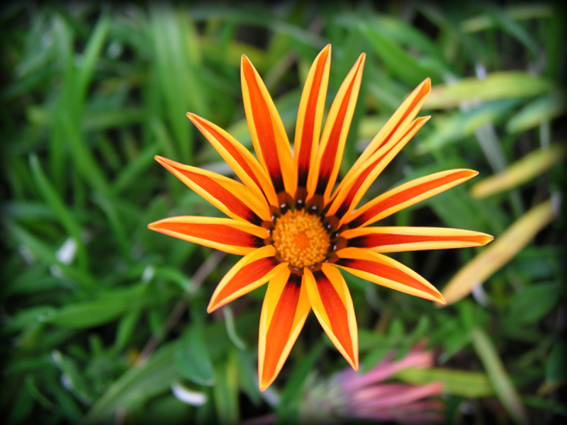 Parkview_04