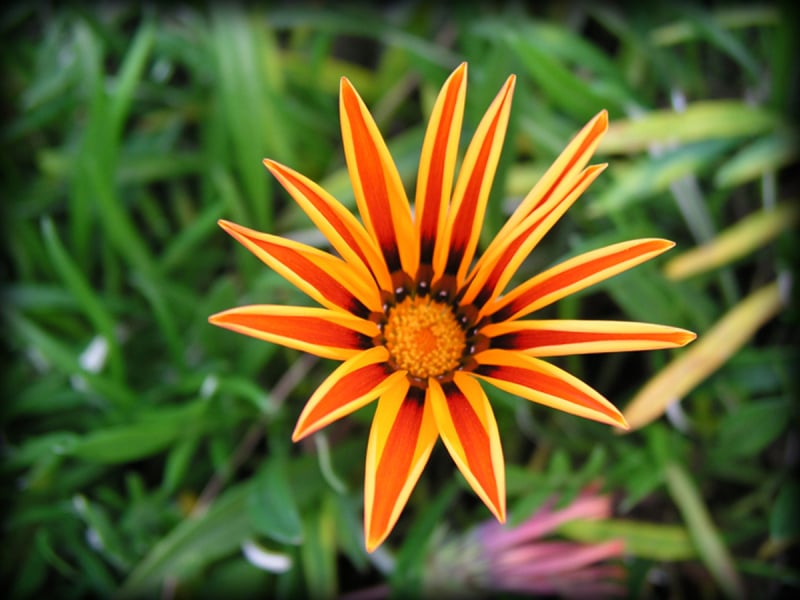 Parkview_04