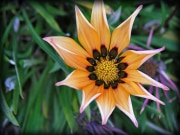 Parkview_05