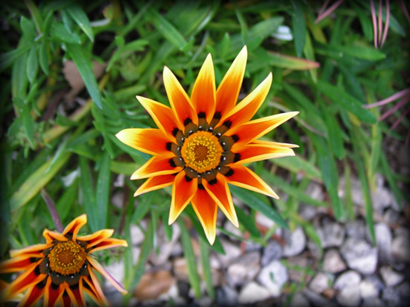 Parkview_06