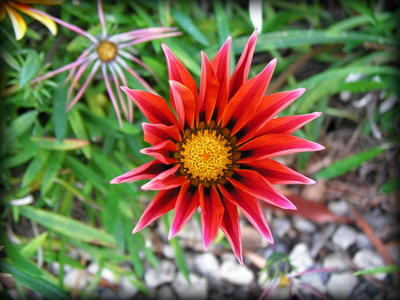 Parkview_07