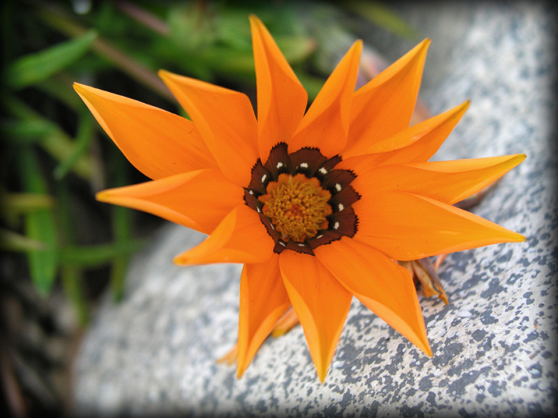 Parkview_09B