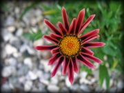 Parkview_14