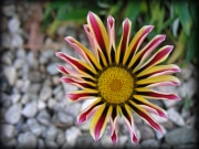 Parkview_15