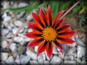 Parkview_16