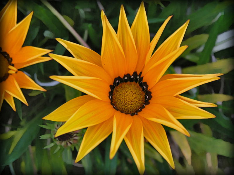 Parkview_18
