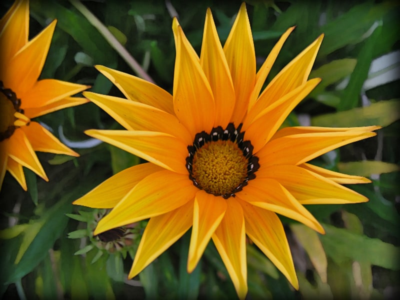 Parkview_18