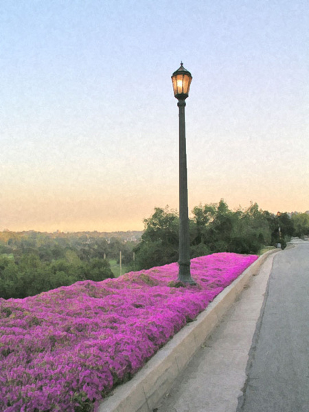 Lampost-_Parkview01