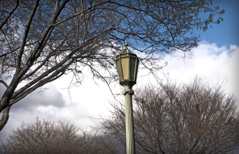 lamppost-20220215-01B-17x11