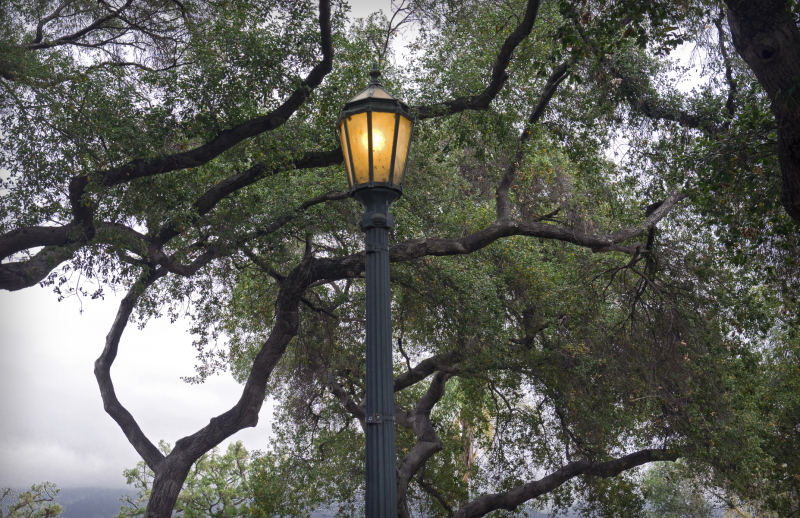 lamppost-20221230-01