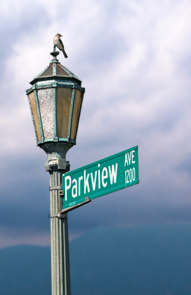 parkview-birdie-20200411-02-17x11