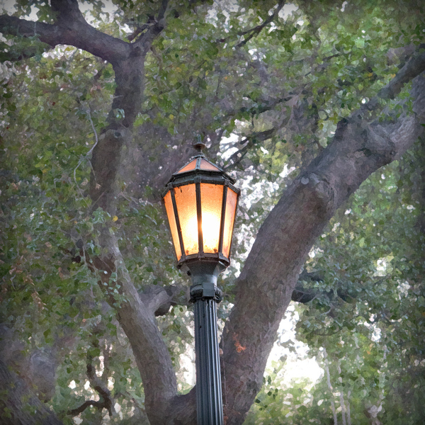 parkview-lampost-oaks-01