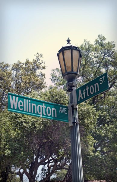 wellington-afton-20230520-01-11x17-1-scaled