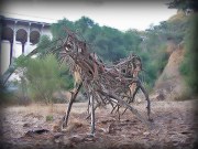 Arroyo-Horse