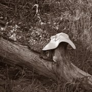 arroyo-hat-20220221-01-10x10