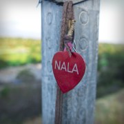 nala-20180429-01-10x10