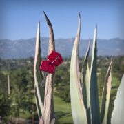 parkview-homes-20230630-01-10x10