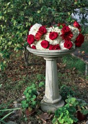 rose-pond-20190322-01B