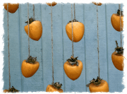 hanging-persimmons-20251103-01B-17x11-1-scaled