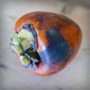 persimmon-20191218-03-10x10-1-scaled