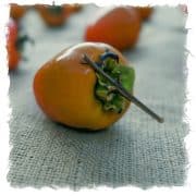 persimmon-20251102-01B-10x10-1-scaled