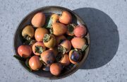 persimmon-bowl-20241115-02-17x11-1-scaled