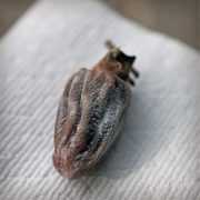 persimmon-napkin-01-10x10-1-scaled