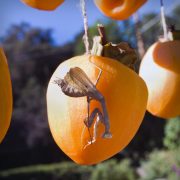 persimmon-praying-mantis-20231121-01-10x10-1-scaled