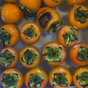 persimmons-20231120-01-10x10-1-scaled