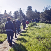 trailwalkers-20260107-02